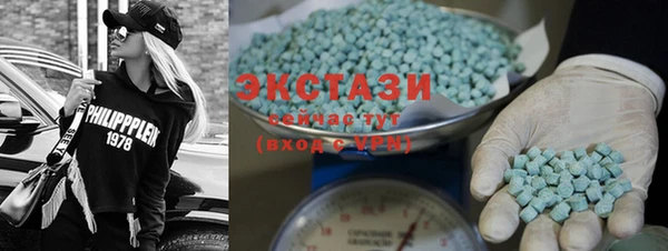 гидра Абаза