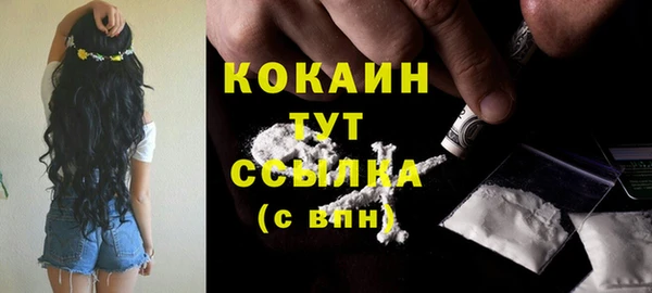 гидра Абаза