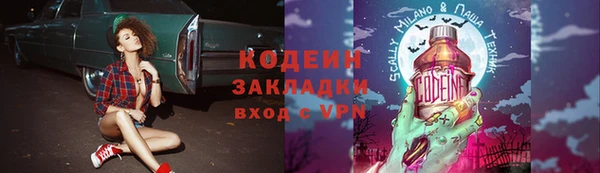 гидра Абаза