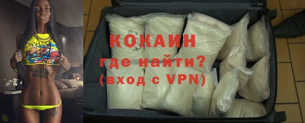 гидра Абаза
