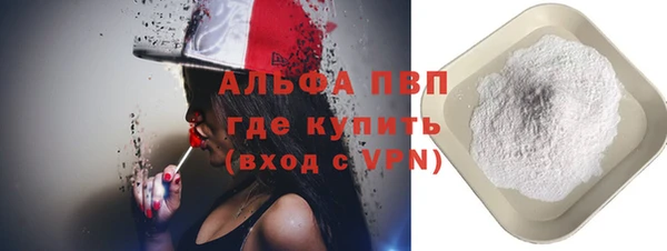 гидра Абаза