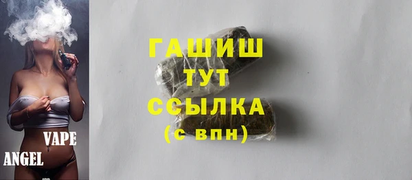гидра Абаза