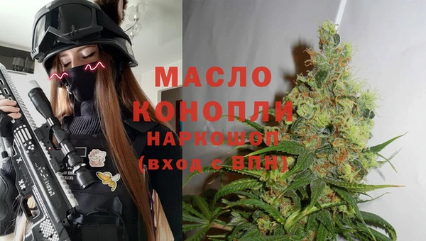 гидра Абаза