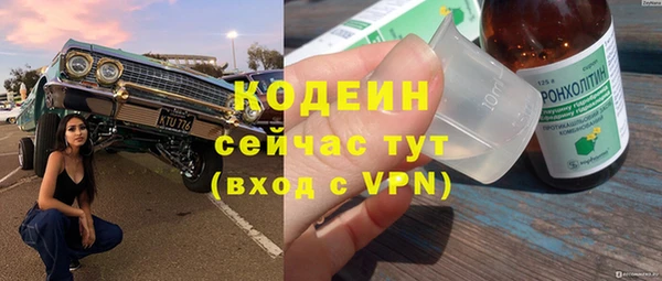 гидра Абаза